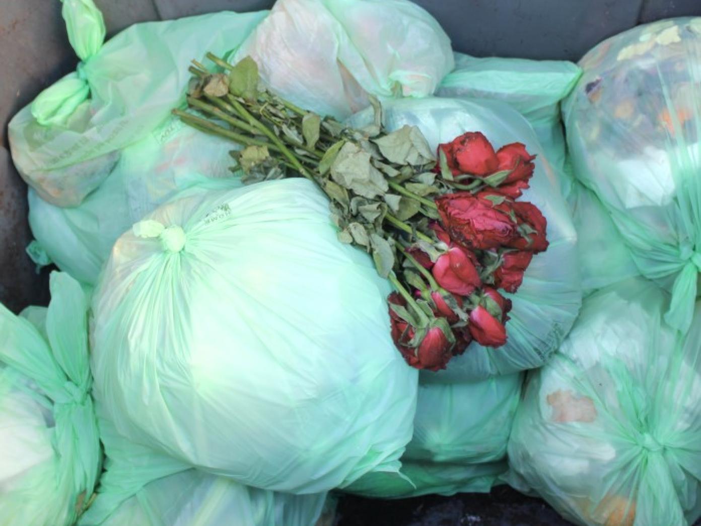 Visne roser i container til madaffald